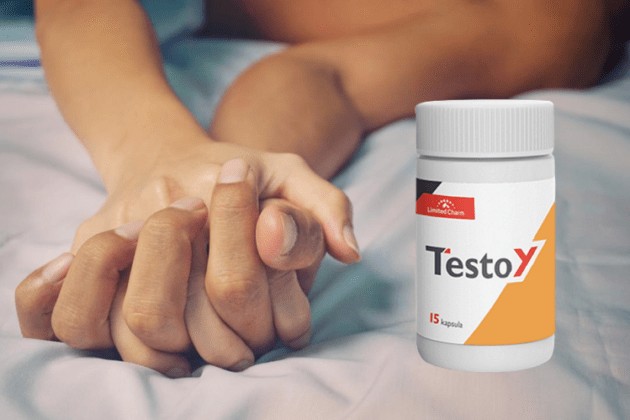 testoy-sastav
